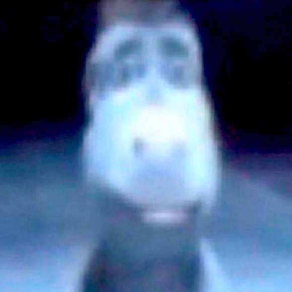 Meet your Posher, Louis - Picture 1 of 1